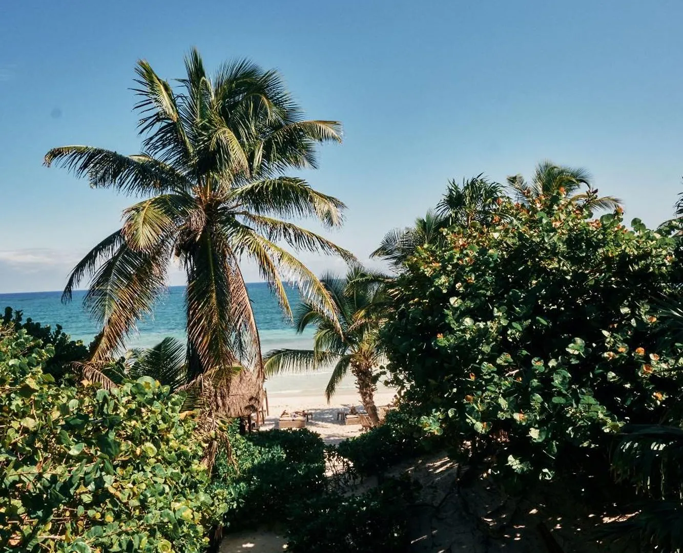 ****  Libelula Tulum Beachfront Hotel Mexico